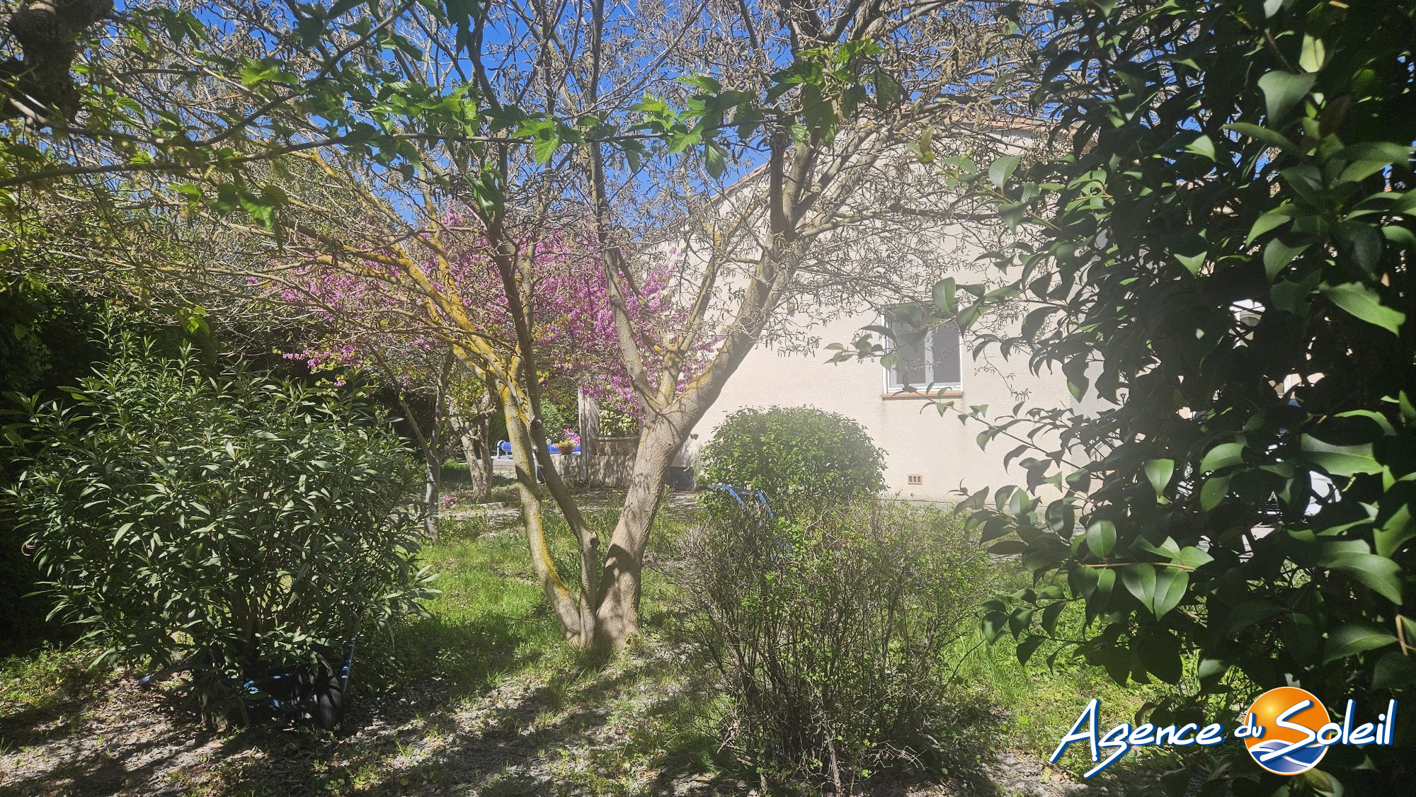 Photo 15 - Maison Moussan (Réf. 11-11076-AGENCEDUSOLEIL)