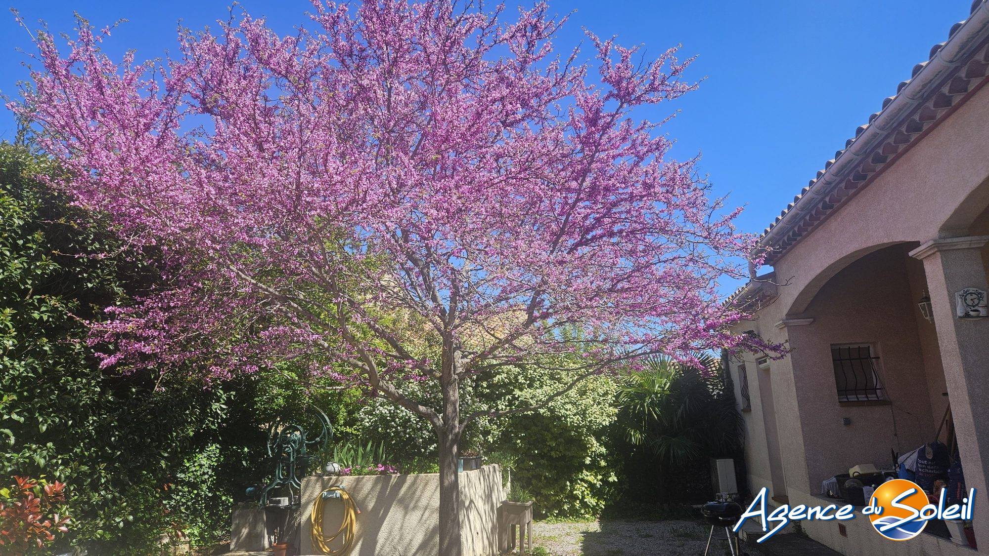 Photo 16 - Maison Moussan (Réf. 11-11076-AGENCEDUSOLEIL)